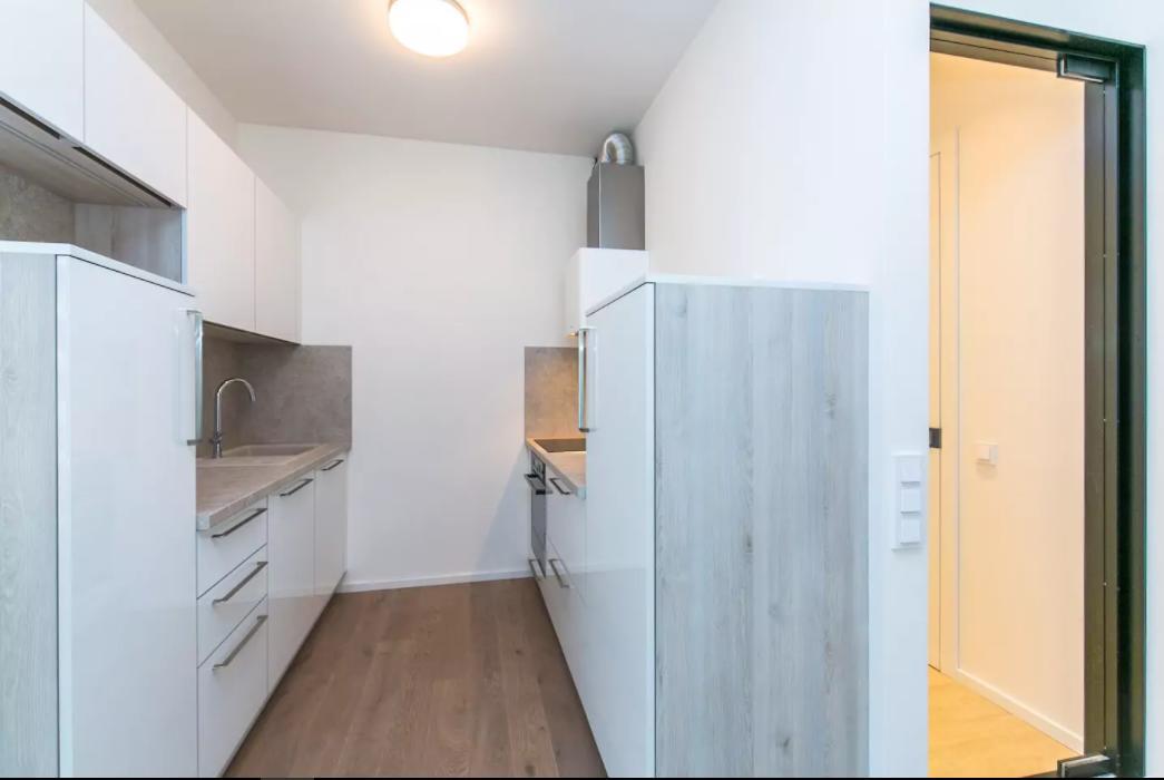 Flawless Apartments Pod Dekankou 布拉格 外观 照片