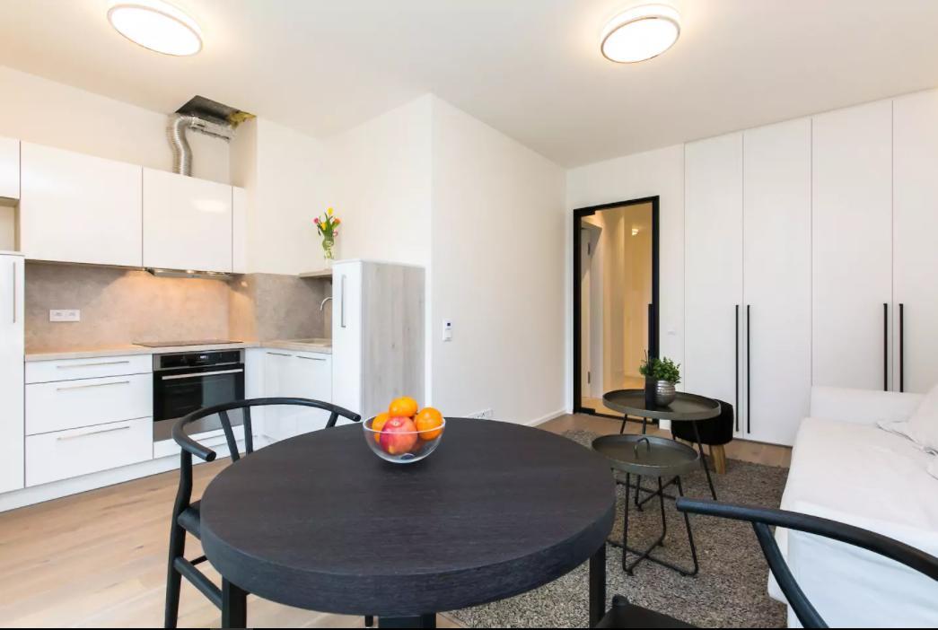 Flawless Apartments Pod Dekankou 布拉格 外观 照片