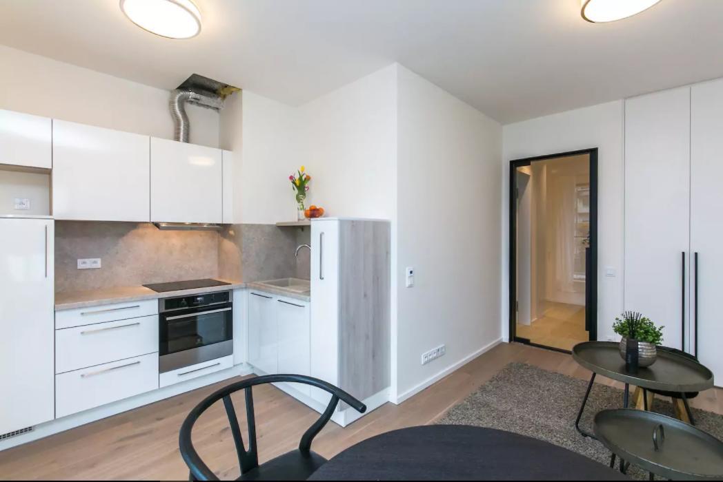 Flawless Apartments Pod Dekankou 布拉格 外观 照片